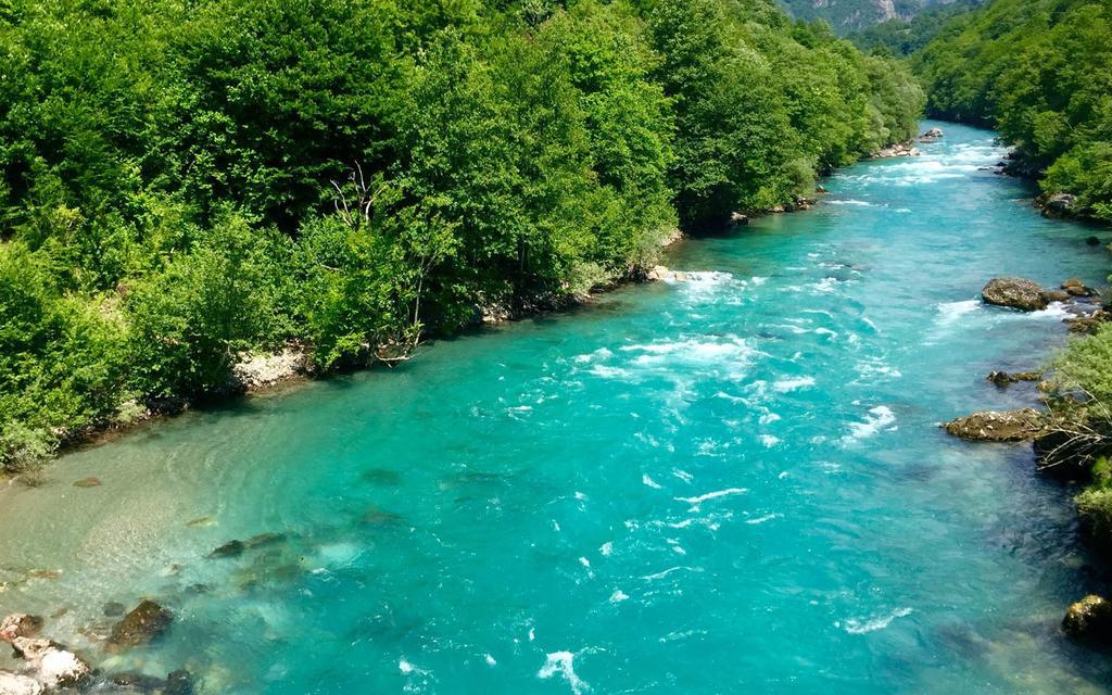 Rafting Camp Tara 87 Hum Exterior foto